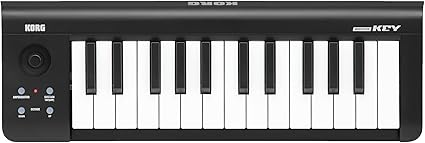 5. Korg microKEY 25